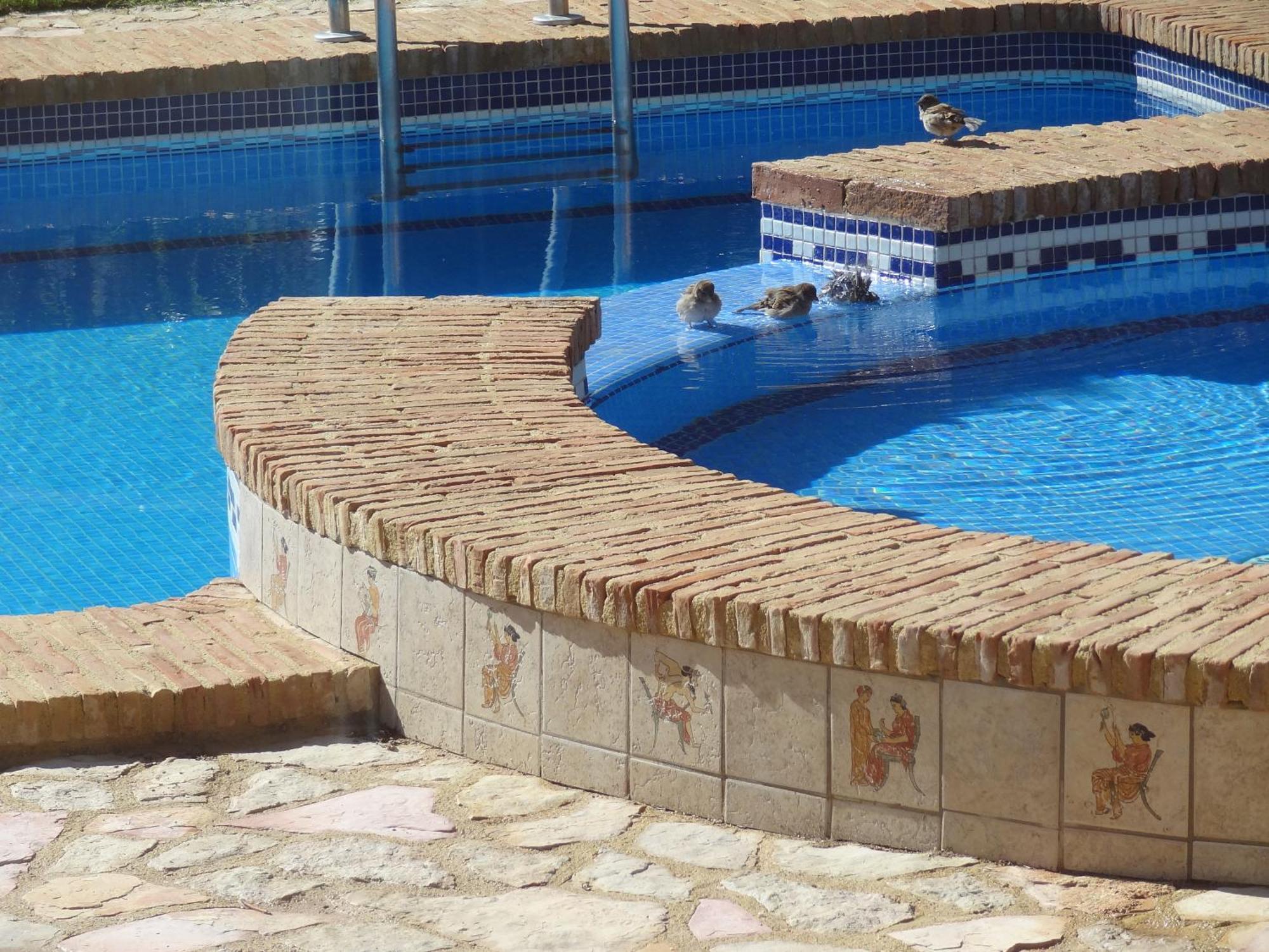 Villa Clairol Los Gallardos Exterior photo